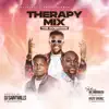 Dj Saintwills - Therapy Mix - Single